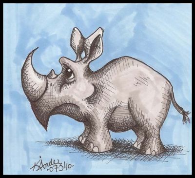 Marcin's Rhino