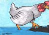 The Chicken Who Stomped The City