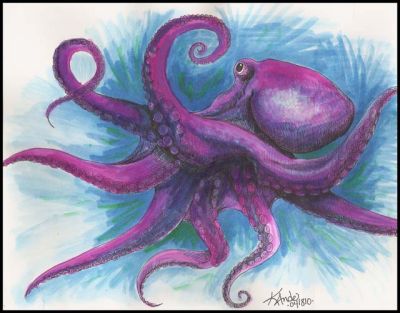 Cephalopod