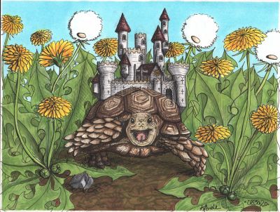 Joyful Tortoise