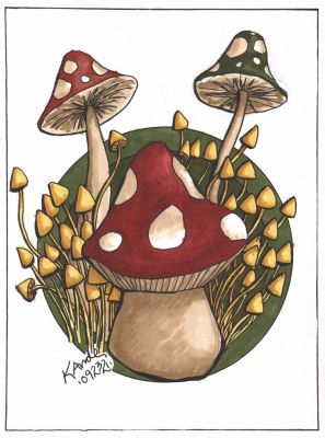 Fall Mushrooms