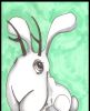 Jackalope