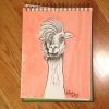 Punk Llama